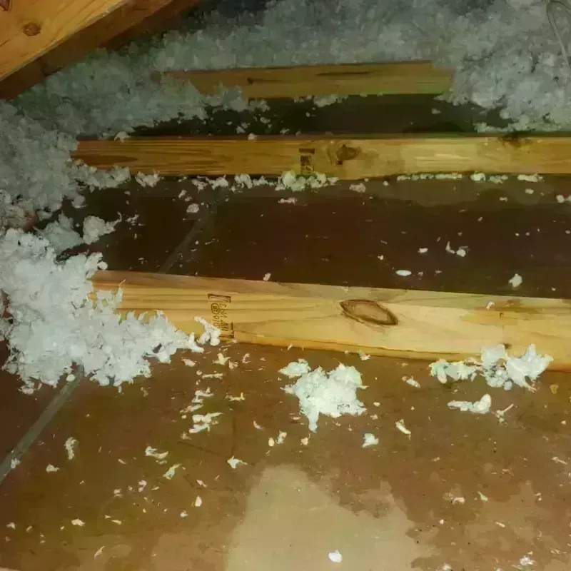 Attic Water Damage in Justice, OK