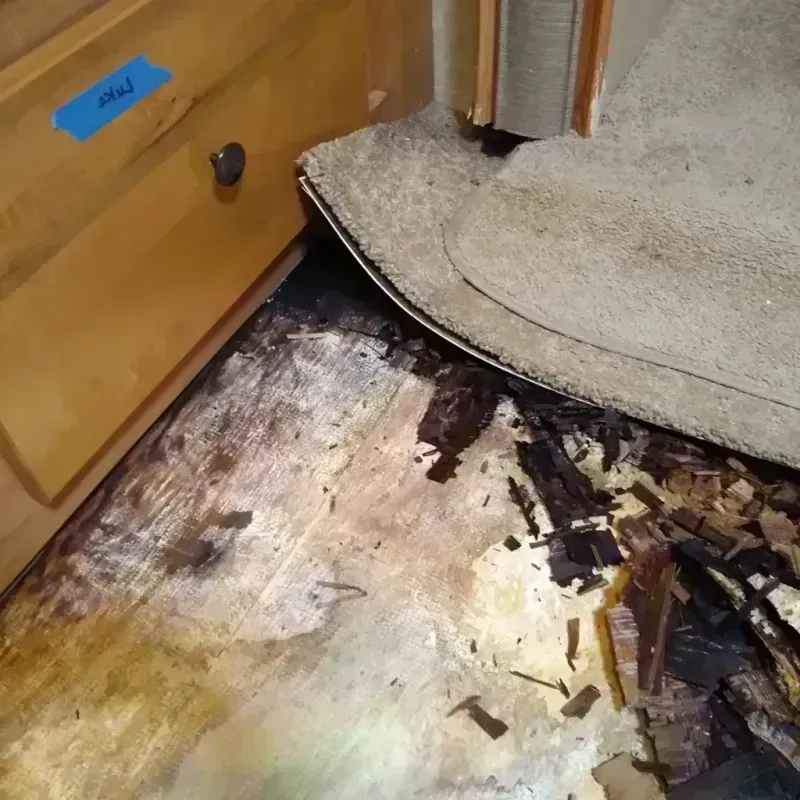 Best Wood Floor Water Damage Service in Justice, OK